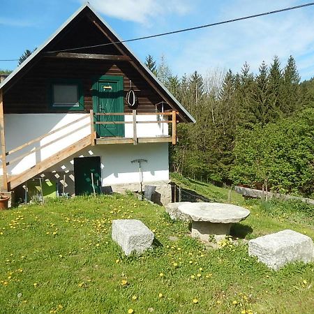 Ferienhaus Am Reitbauernhof Luckyranch Mellach  Екстериор снимка