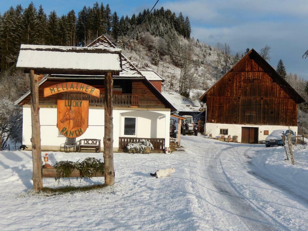 Ferienhaus Am Reitbauernhof Luckyranch Mellach  Екстериор снимка
